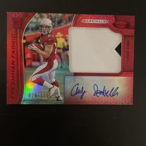 Andy Isabella RPA /199 (RC)