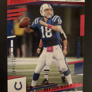 Peyton Manning /449